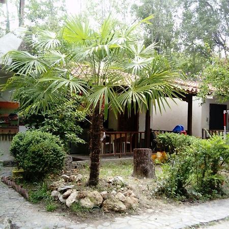 Camping Elizabeth Otel Kalyvia Varikou Dış mekan fotoğraf